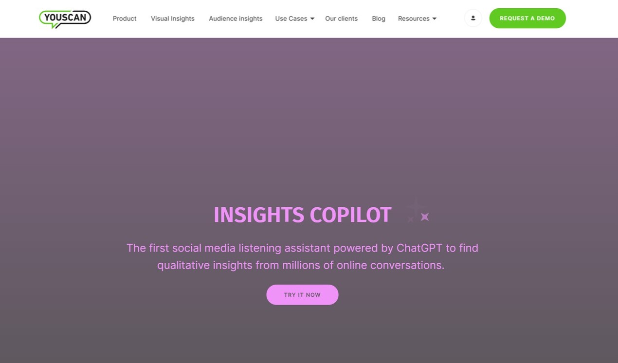 
Insights Copilot by YouScan
