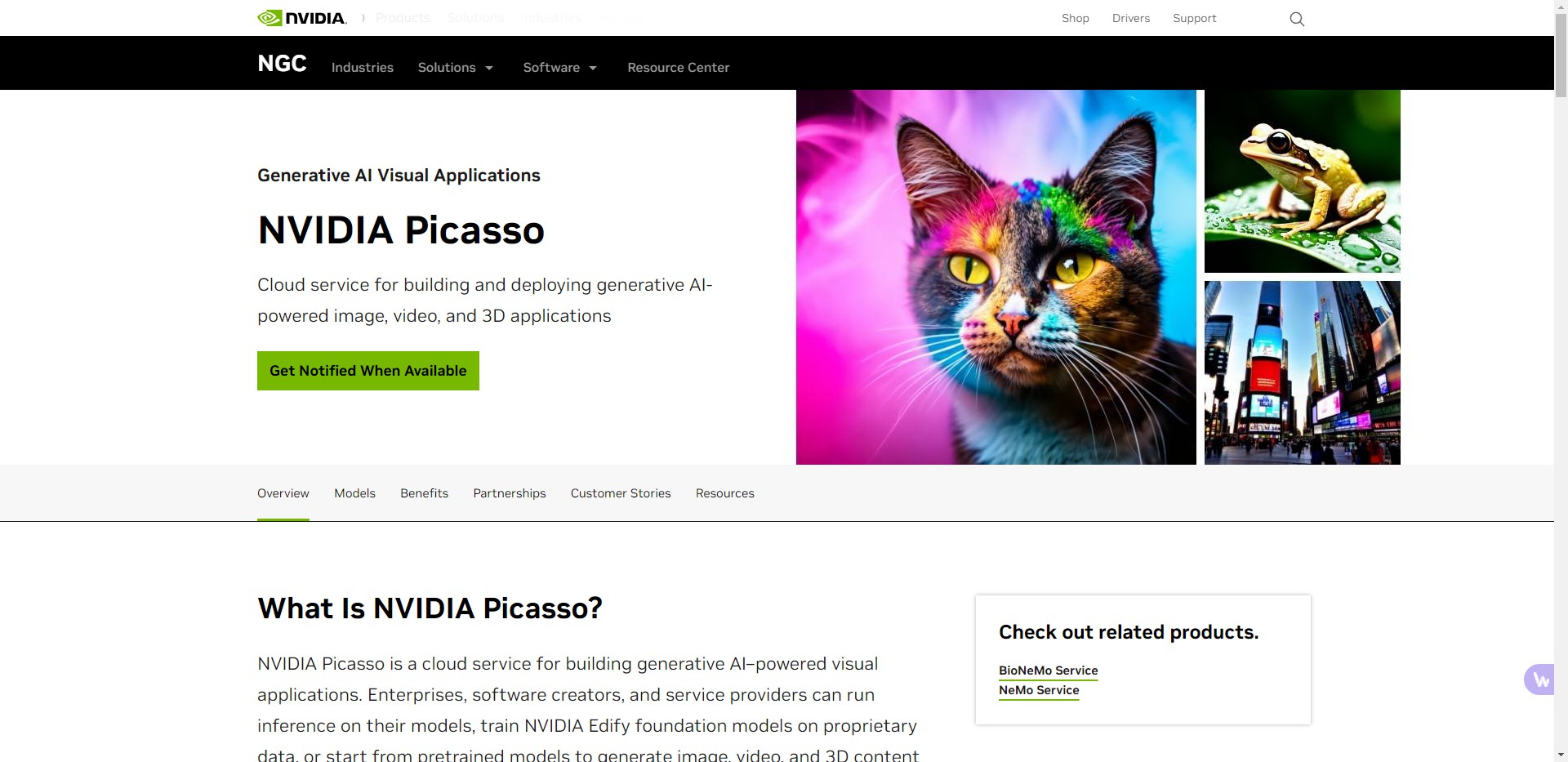 
NVIDIA Picasso
