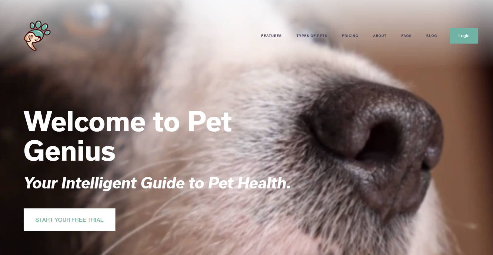 Outil IA: Pet Genius