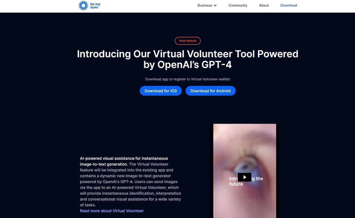 
              Virtual Volunteer            
